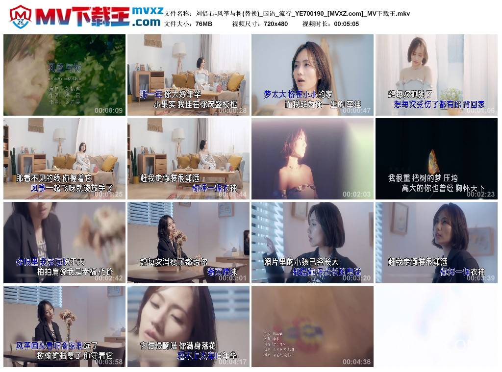 刘惜君-风筝与树(替换)_国语_流行_YE700190